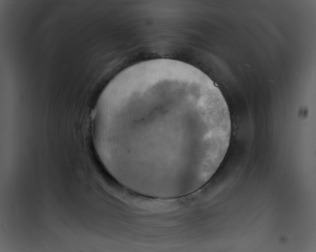 X0000100780036200807171454