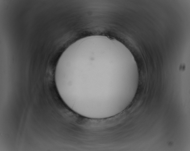 X0000100780037200807171454