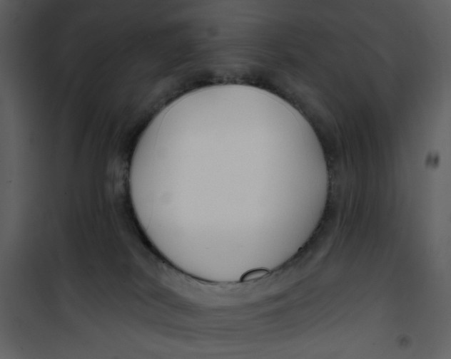 X0000100780038200807171454