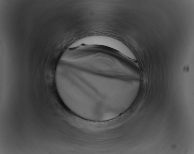 X0000100780039200807171454