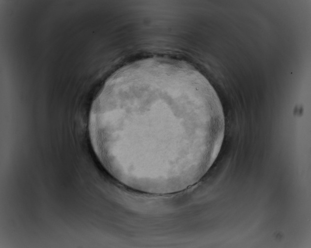 X0000100780040200807171454