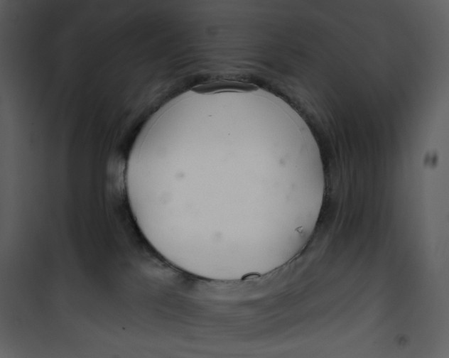 X0000100780041200807171454