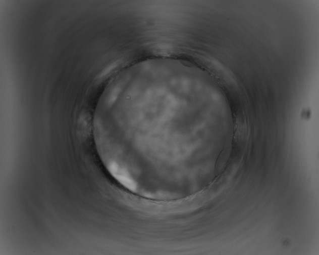 X0000100780043200807171454