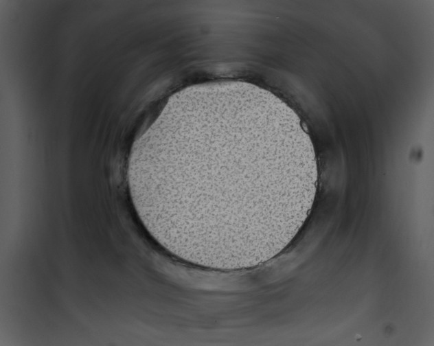 X0000100780044200807171453