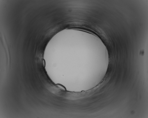 X0000100780045200807171453