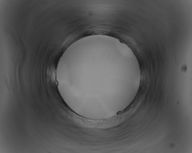 X0000100780046200807171453