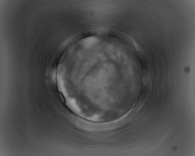 X0000100780047200807171453