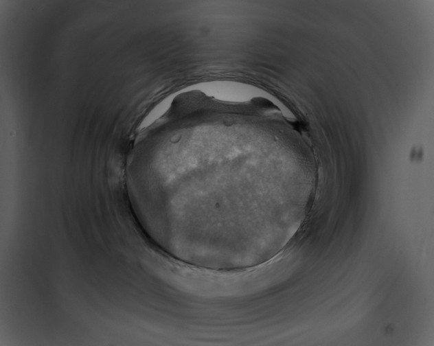 X0000100780048200807171453