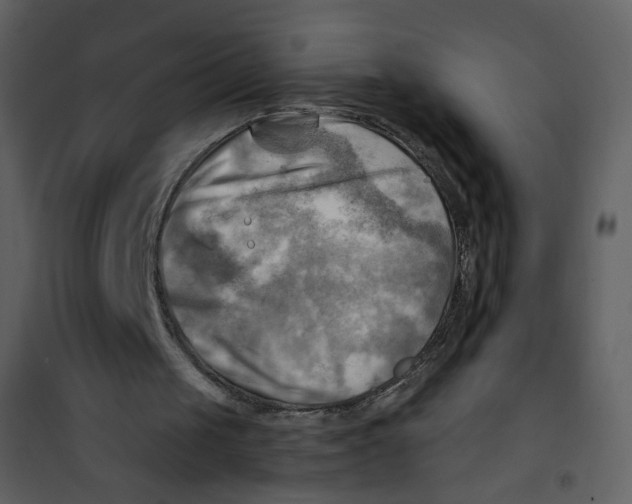 X0000100780049200807171453