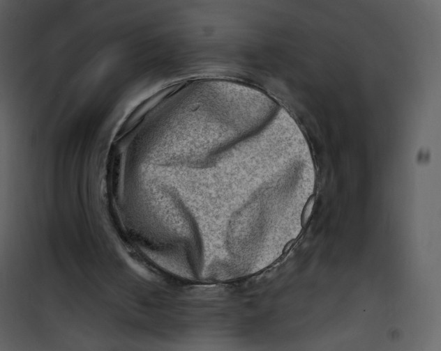 X0000100780050200807171453