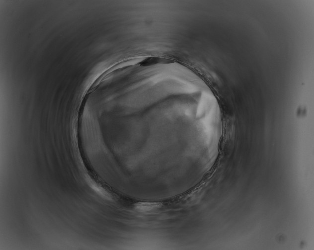 X0000100780051200807171453