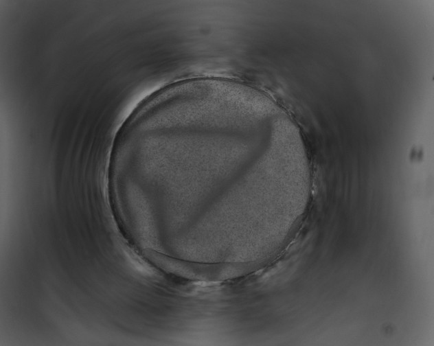 X0000100780052200807171453