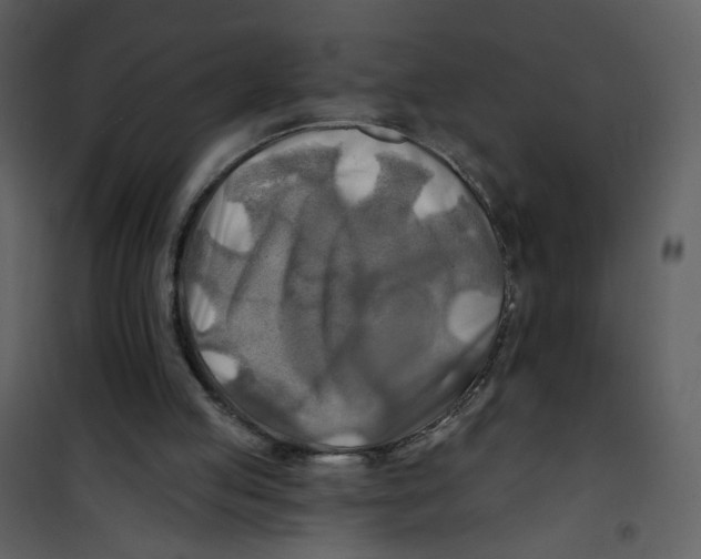 X0000100780053200807171453