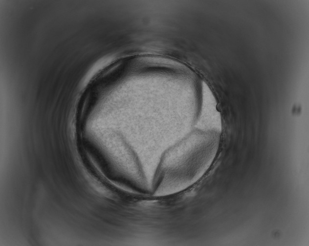 X0000100780054200807171453