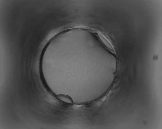 X0000100780055200807171453