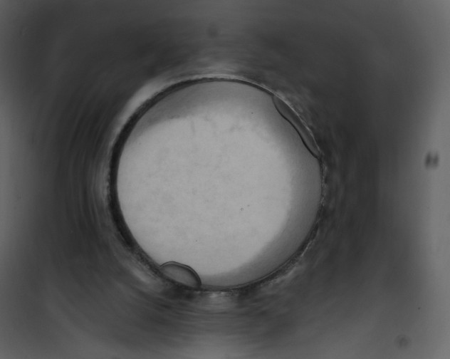 X0000100780056200807171453