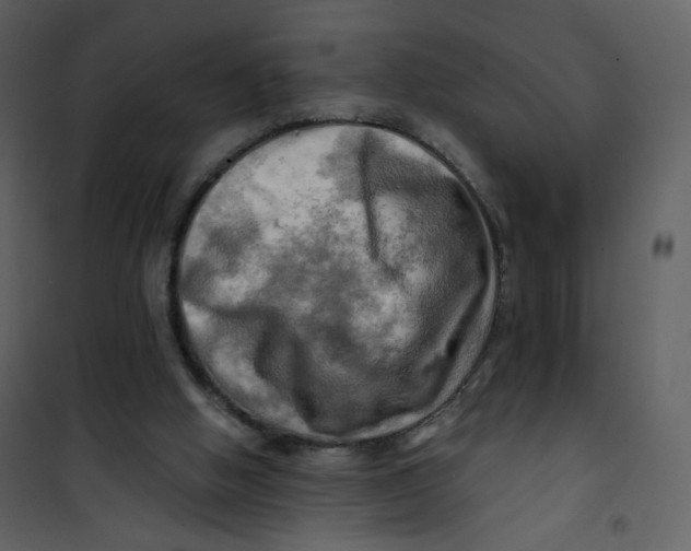 X0000100780058200807171453