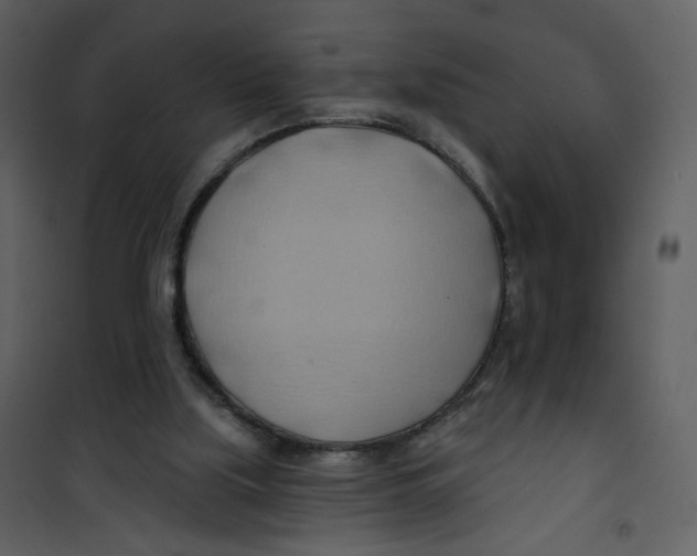 X0000100780059200807171453