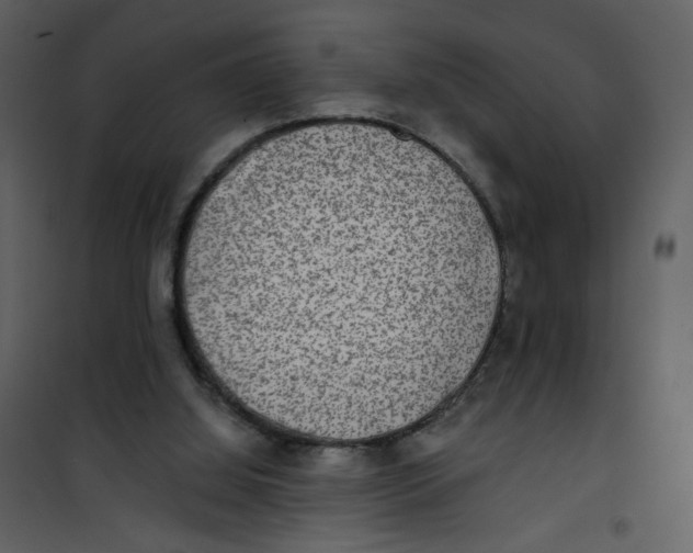 X0000100780060200807171453