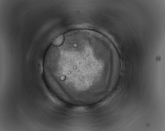 X0000100780061200807171453