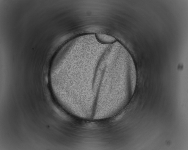 X0000100780062200807171453