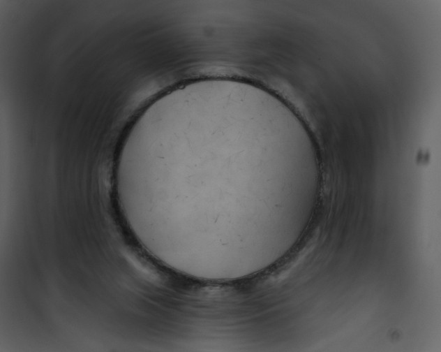 X0000100780063200807171453