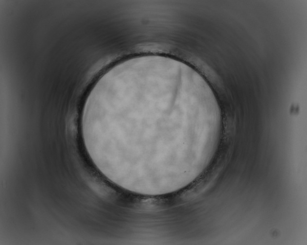 X0000100780064200807171453