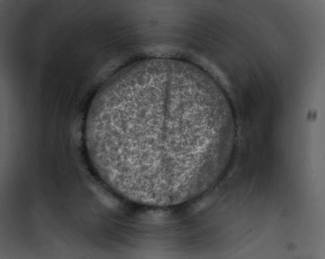 X0000100780065200807171453