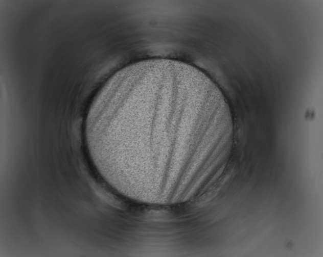 X0000100780066200807171453