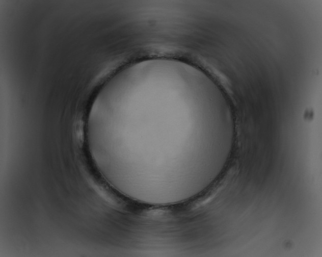 X0000100780067200807171453