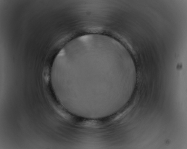X0000100780069200807171453