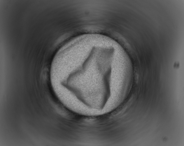 X0000100780071200807171453