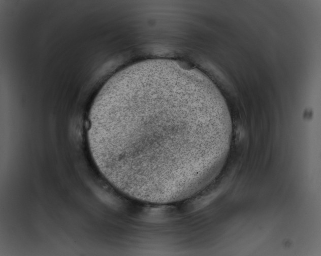 X0000100780072200807171453