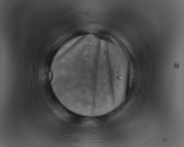 X0000100780073200807171453