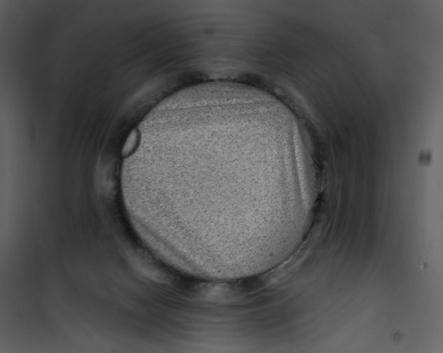 X0000100780074200807171453