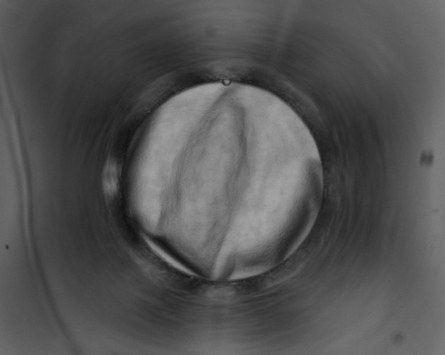 X0000100780075200807171453