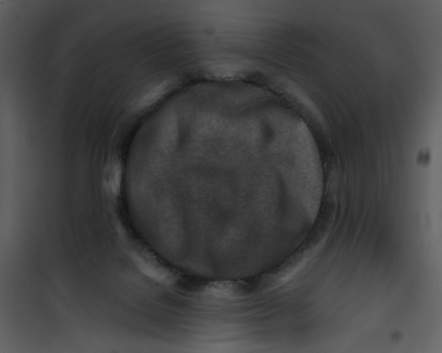X0000100780076200807171453