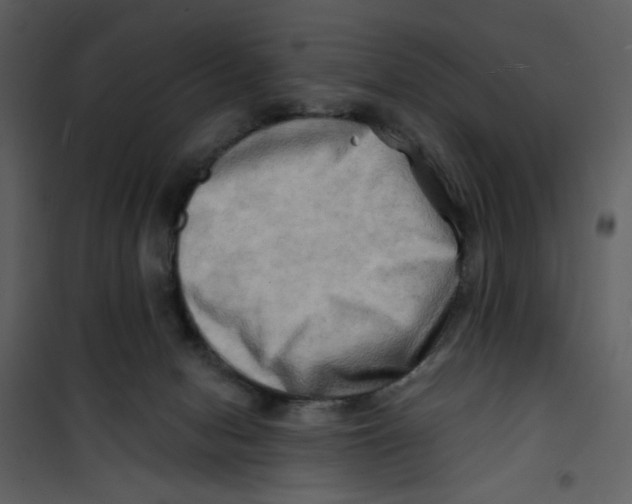 X0000100780078200807171453