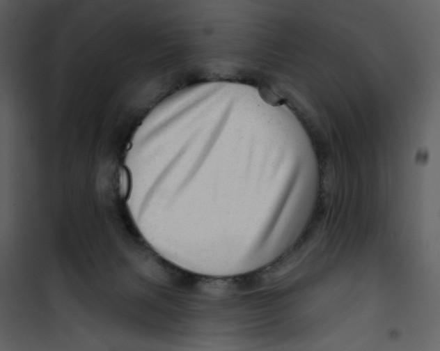 X0000100780079200807171453