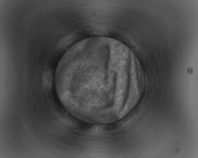 X0000100780080200807171453