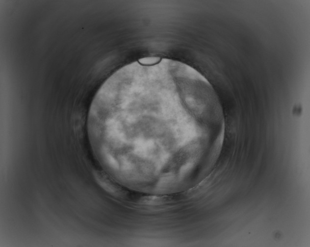 X0000100780082200807171453