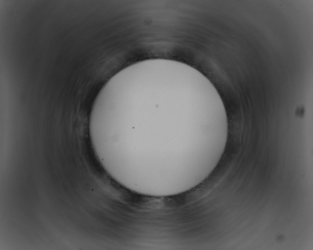 X0000100780083200807171453