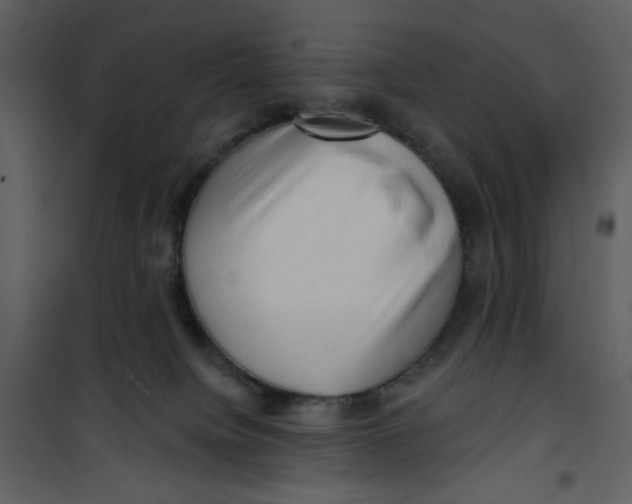 X0000100780084200807171453
