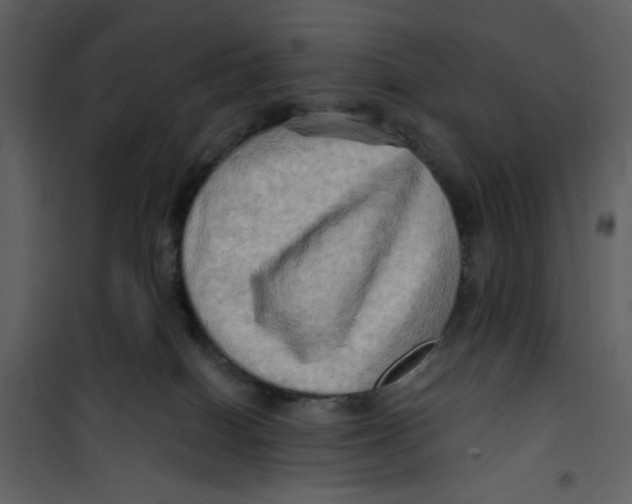 X0000100780086200807171453