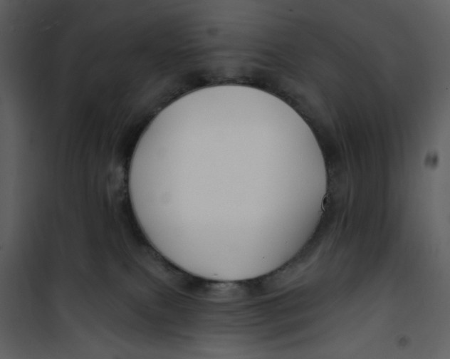 X0000100780087200807171453