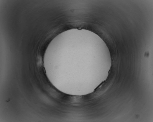 X0000100780089200807171453