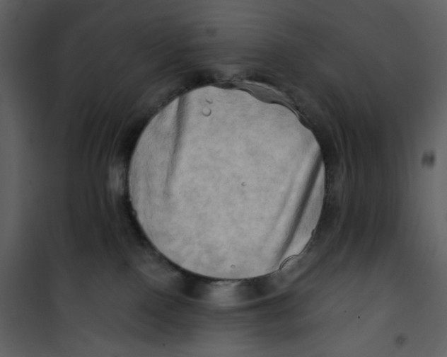 X0000100780090200807171453