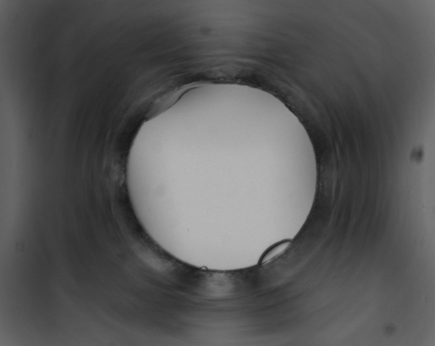 X0000100780091200807171453