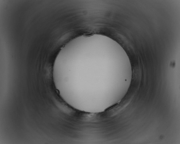X0000100780092200807171453