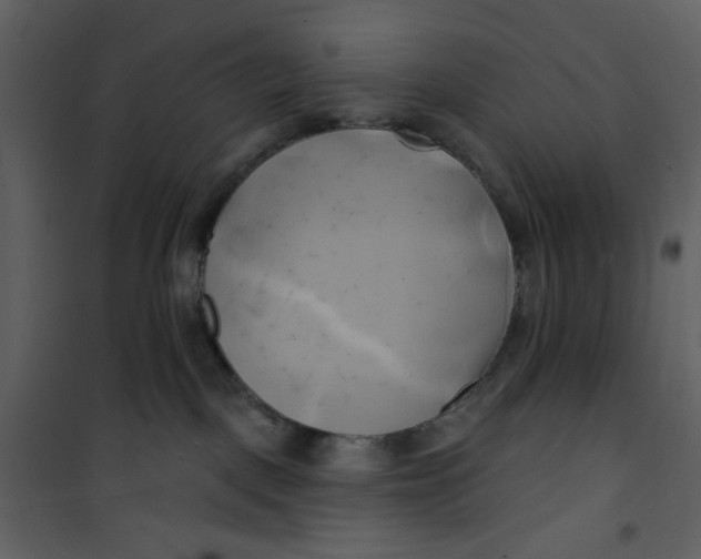 X0000100780093200807171453